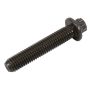 ACDelco Bolts and Screws 24418414