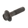 ACDelco Bolts and Screws 24504736