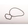 ACDelco GM Genuine Parts Water Pump Gaskets 24439799