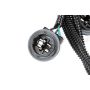 ACDelco GM Genuine Parts Taillight Harnesses 25958495
