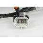 ACDelco Coil and Ignition Wiring Harnesses 12582190