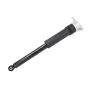 ACDelco GM Genuine Parts Shocks and Struts for 2017-2019 CRUZE - 39040206