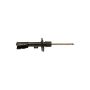 ACDelco GM Genuine Parts Shocks and Struts 19307622