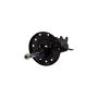 ACDelco - Shocks and Struts for 2012-2019 SONIC - 19366125