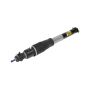 ACDelco GM Genuine Parts Shocks and Struts for 2006-2011 DTS, LUCERNE - 19302769