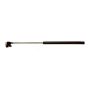 ACDelco Lift Supports 88962293