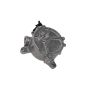 ACDelco Vacuum Pumps, Street 55495381