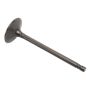 ACDelco GM Genuine Parts Engine Valves 55563529