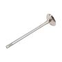 ACDelco Valves 55565339