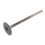 ACDelco GM Genuine Parts Engine Valves 55568831