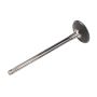 ACDelco GM Genuine Parts Engine Valves 55568831
