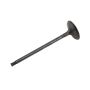 ACDelco - Valves for 2011-2015 CRUZE, 2016 CRUZE LIMITED, 2012-2018 SONIC - 55569449