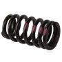 ACDelco - Valve Springs for 2011-2015 CRUZE, 2016 CRUZE LIMITED, 2012-2018 SONIC - 55571551