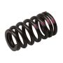 ACDelco - Valve Springs for 2011-2015 CRUZE, 2016 CRUZE LIMITED, 2012-2018 SONIC - 55571551