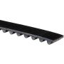ACDelco Timing Belts 55575247