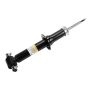 ACDelco GM Genuine Parts Shocks and Struts 84458384