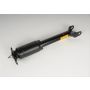 ACDelco GM Genuine Parts Shocks and Struts for 1997-2004 CORVETTE - 10431991