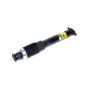 ACDelco GM Genuine Parts Shocks and Struts for 2009-2013 CORVETTE, 2008-2009 XLR - 19302774