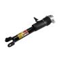ACDelco GM Genuine Parts Shocks and Struts for 2015-2019 CORVETTE - 84235051