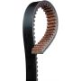 ACDelco Accessory Belts 88933988
