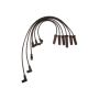 ACDelco Spark Plug Wire Sets 19171848
