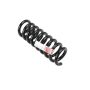 ACDelco GM Genuine Parts Coil Springs for 2017-2024 CAMARO - 84079567