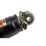 ACDelco GM Genuine Parts Shocks and Struts 84176675