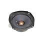ACDelco Radio Speakers 84196280