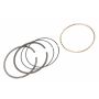 ACDelco GM Genuine Parts Piston Rings 88894219
