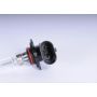 ACDelco Light Bulbs 09441732