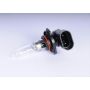 ACDelco Light Bulbs 09441732