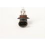 ACDelco Light Bulbs 19257054