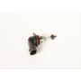 ACDelco Light Bulbs 19257054