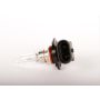 ACDelco Light Bulbs for 2002-2005 AVALANCHE 1500, AVALANCHE 2500, 2004-2005 BONNEVILLE - 15094219