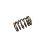 ACDelco Valve Springs 90537032
