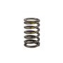 ACDelco Valve Springs 90537032