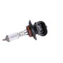 ACDelco Light Bulbs 12450314