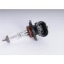 ACDelco Light Bulbs 12450314