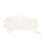 ACDelco GM Genuine Parts Radiator Surge Tanks 95048411