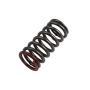 ACDelco Valve Springs 96990215