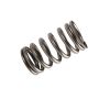 ACDelco Valve Springs 98025825