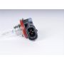 ACDelco Light Bulbs 10351666