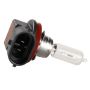ACDelco Light Bulbs 10351666