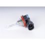 ACDelco Light Bulbs 10351666