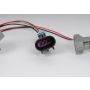 ACDelco Light Bulb Sockets 25851959