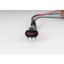 ACDelco Light Bulb Sockets for 2009-2012 TRAVERSE - 25851960
