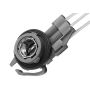 ACDelco Light Bulb Sockets for 1993-2002 CAMARO, 2003-2006 SSR - 12141493