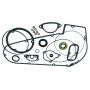 TwinPower 043243 Primary Gasket Kits
