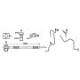 ATE 331067 ATE Original Rear Brake Hydraulic Hose for Audi, Volkswagen 331067