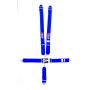 RJS SAFETY RJS1128603 5-Pt Harness System BL Ind Bolt In Mt 3in Sub